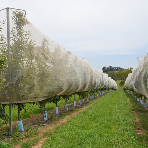 greenhouse anti insect net